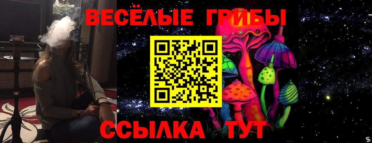 Галлюциногенные грибы Cubensis  магазин продажи   Саянск  Псилоцибиновые грибы прущие грибы  Вход с VPN 